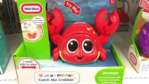 Catch Me Crabbie Toy