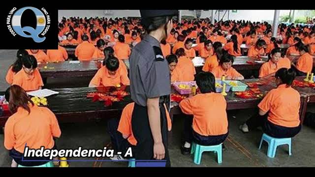 Reflexión - sobre la realidad manipulada
