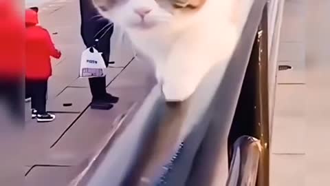 song title please