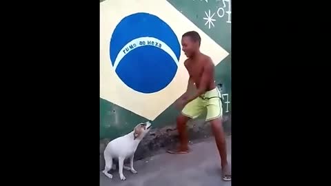 Dancing Puppy - Perrito Bailando