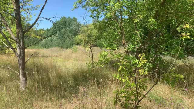 Lost Places - Zu Fuß unterwegs mit Frauchen in einer alten Russenkaserne Zufallsfund Teil 3