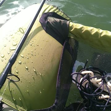 Unexpected catch- GIANT CATFISH!!??