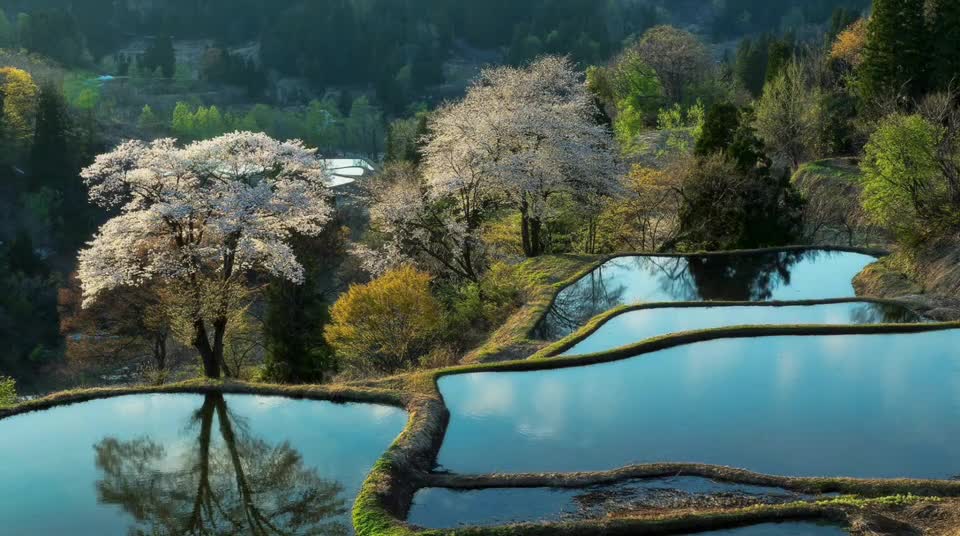 Beautiful pastoral scenery