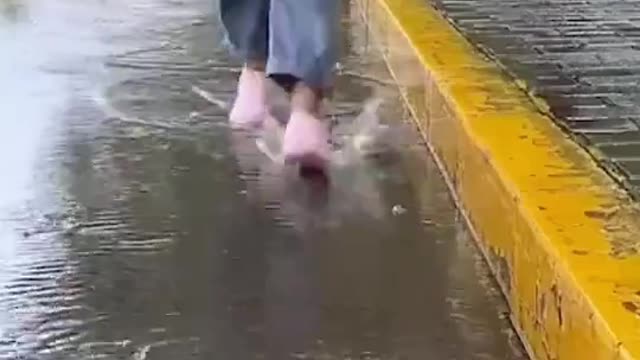 Protected your shoe from rain