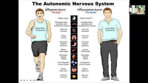 Metabolically Directed Approach to Headaches