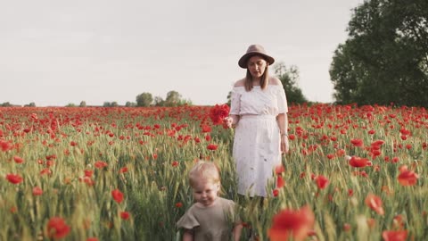 Going through the tulips relaxing video