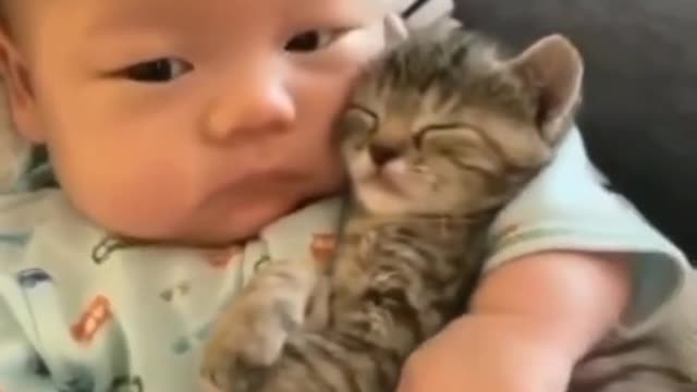 Cute cat and Bay lovely video