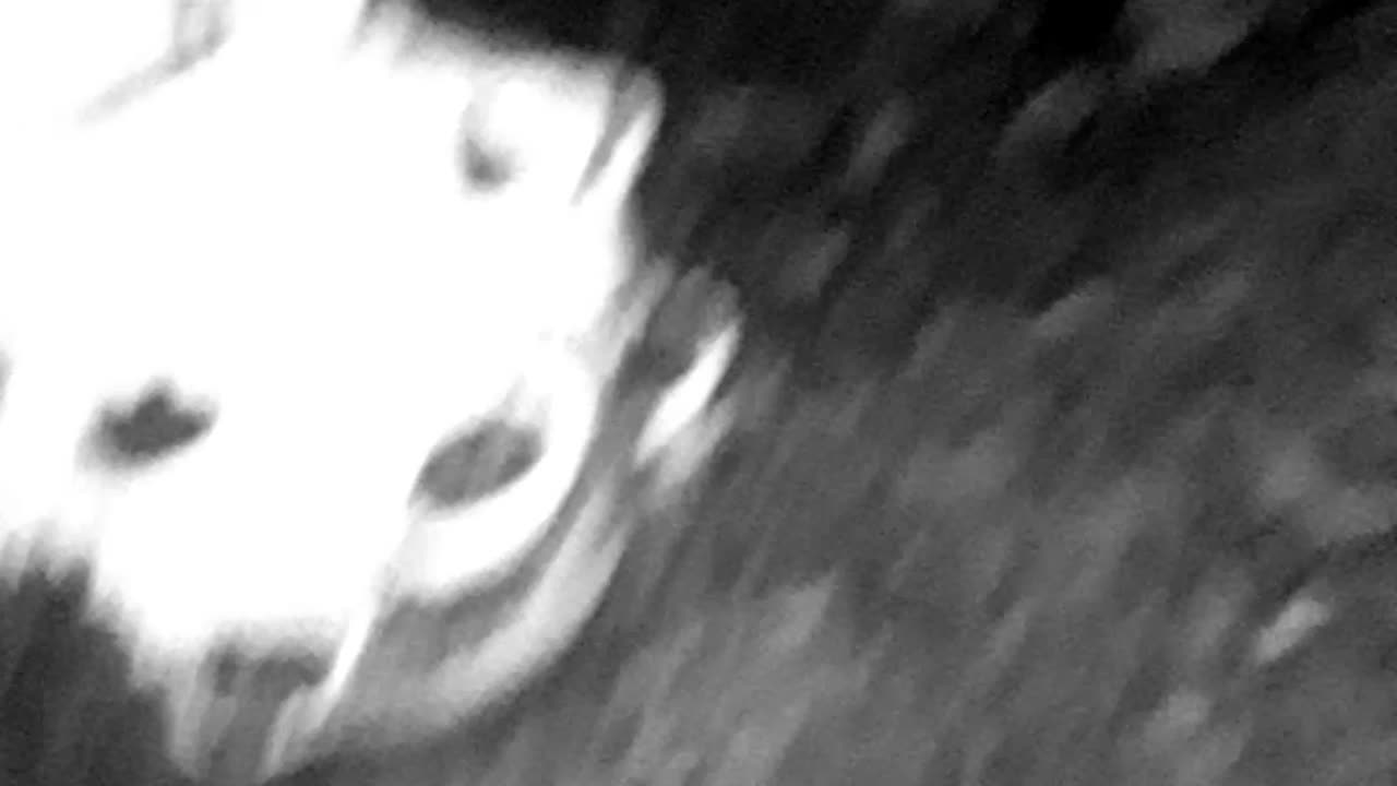 Another classic wolrd part 1