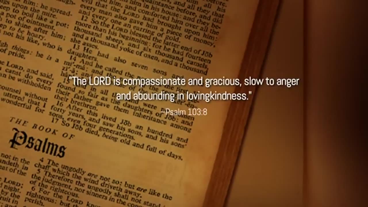 The Noah Movie Deception