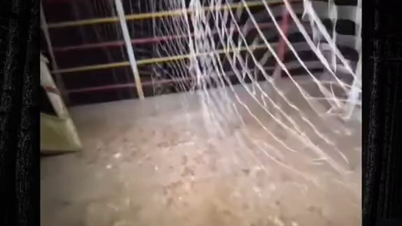 Real Skinwalker Caught on Camera!!