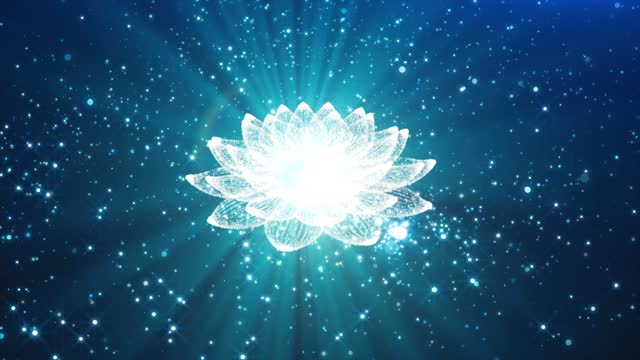 Dynamic video of beautiful and cool blue lotus background 4k