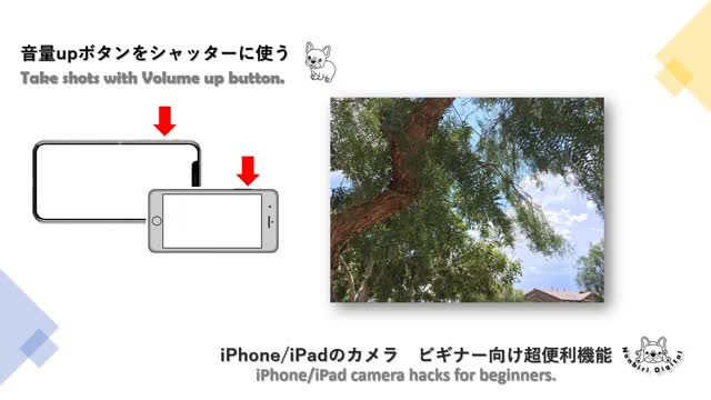 PowerPoint Video .: のんびりデジタル :. 4ways iPhone camera hacks for beginners. 初心者向けiPhone カメラ超便利機能