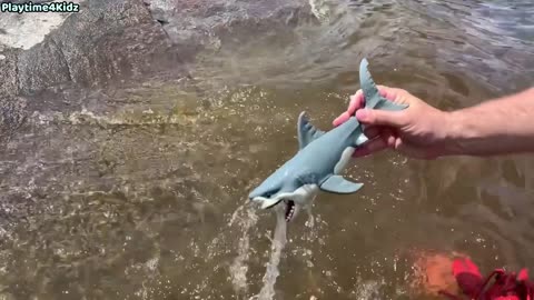 Sea Animal Toys This Summer at the Shore