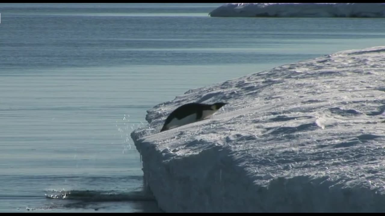 Antarctic winter sea-ice reaches record lows=GET NEWS