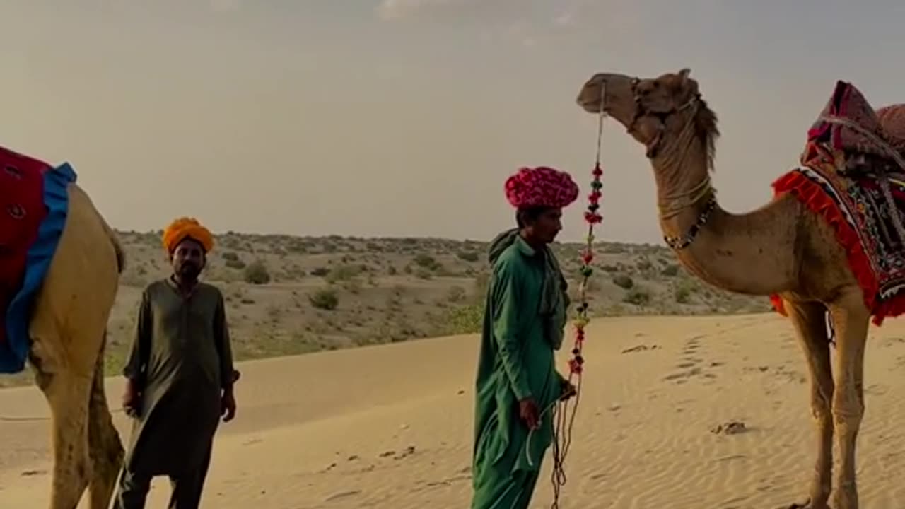 Thar Vlogs
