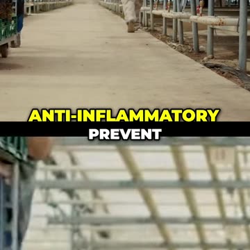 Unlocking Nature's Secrets_ Power of Plant