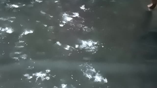 Cute baby wasting the powder