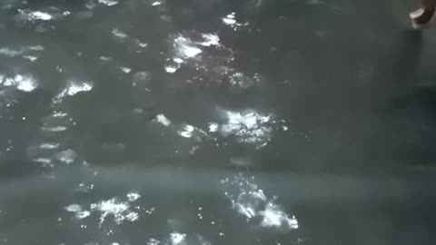 Cute baby wasting the powder