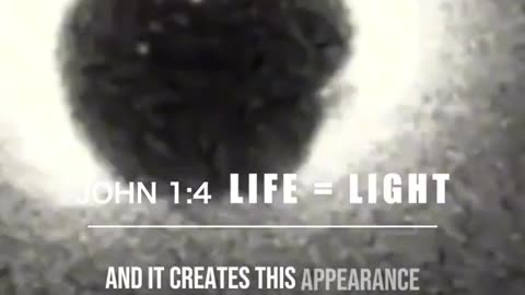 Documented moment of conception