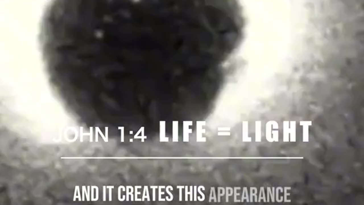 Documented moment of conception