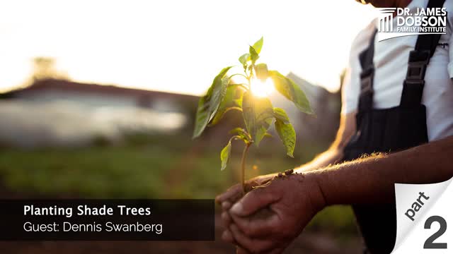 Planting Shade Trees - Part 2 with Guest Dennis Swanberg