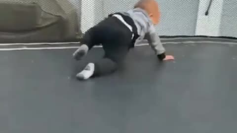 Dog video