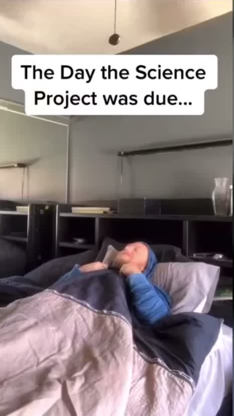 The day the science project was due