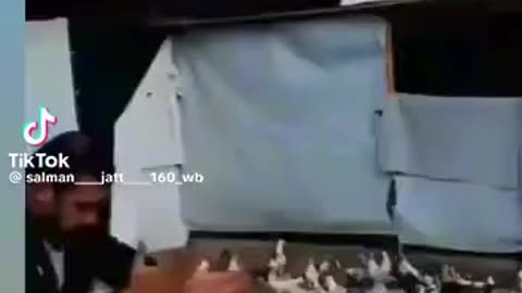 What is he doing