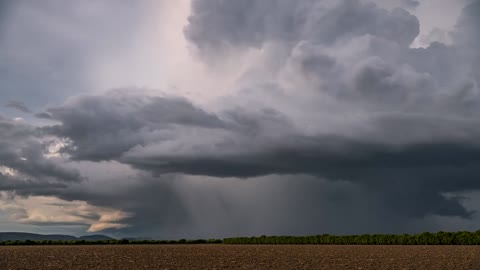 Trump Vs Big Pharma (Vax)