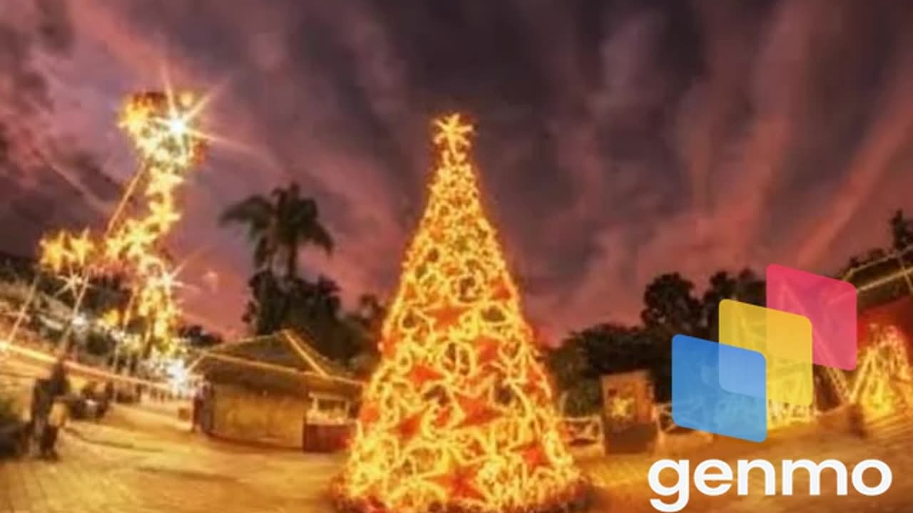 a_christmas tree is lit up at.mp4