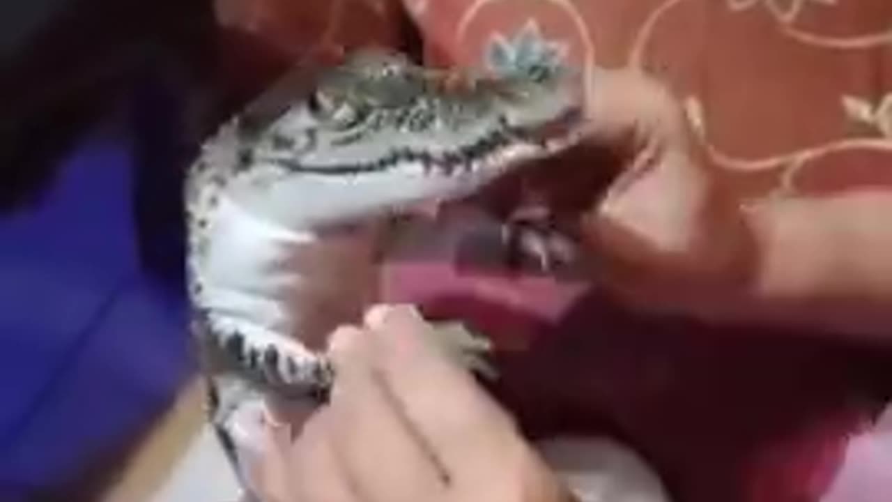 I have so many questions