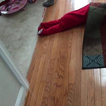 Turns Out The Rug Is Not A Good Hide And Seek Spot...