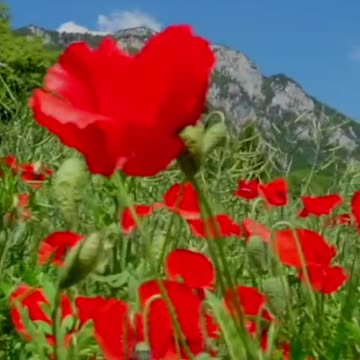 AN INVITATION TO INTIMACY - DAILY DEVOTIONAL ❤️