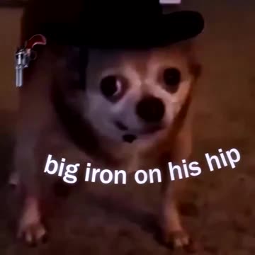 ＢＩＧ ＩＲＯＮ
