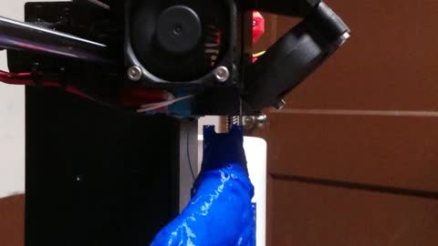 Time Lapse 3D printing husky