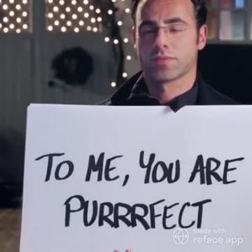 Cute Cat Moment! 🥺