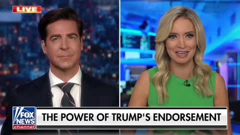 Now Dems are saying that men can get pregnant: Kayleigh McEnany