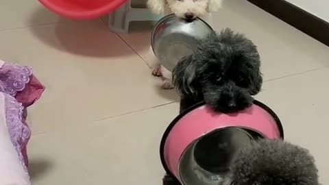 To cute