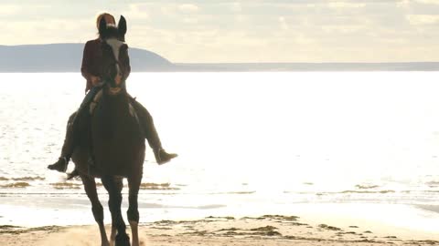 Girl riding a horse on coastline at the beach in early morning