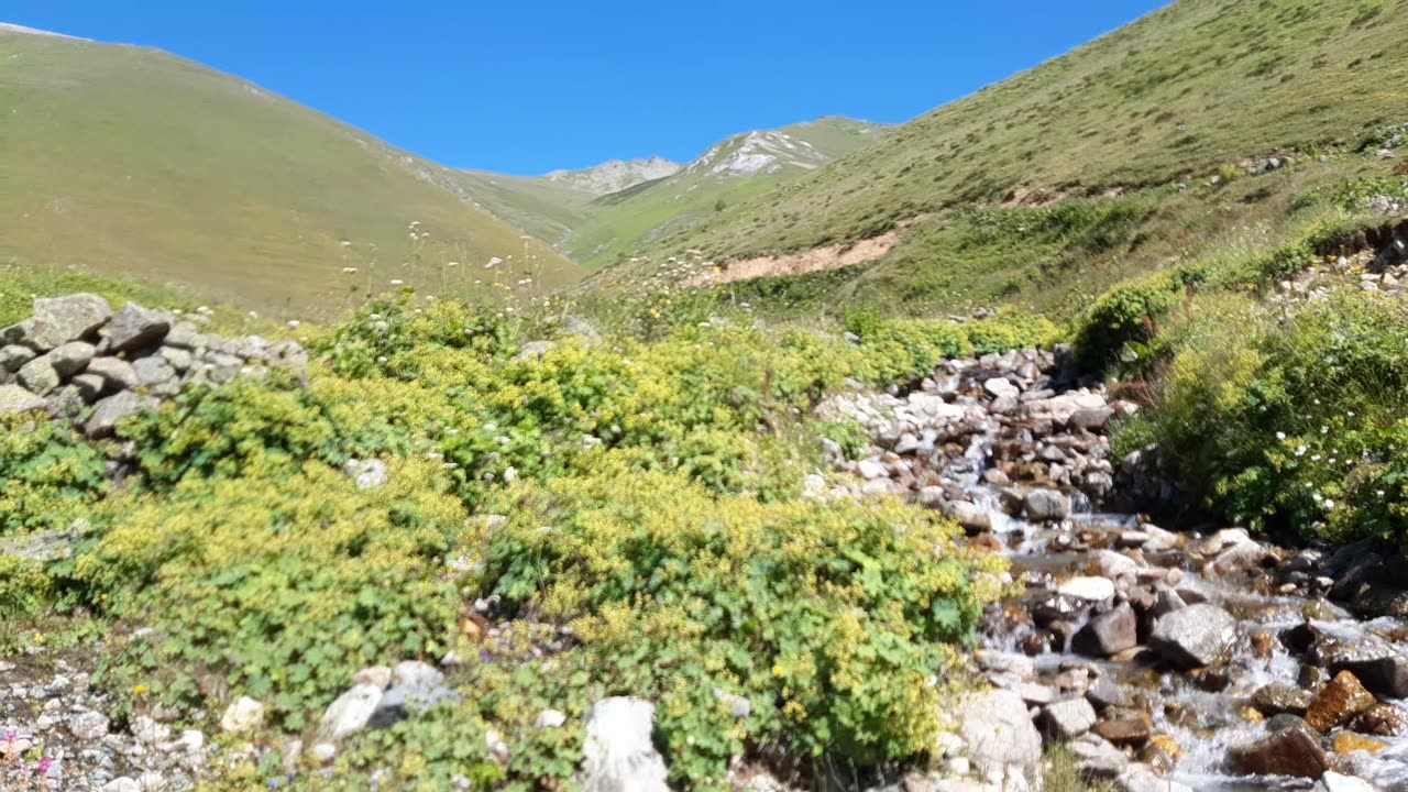 Sections from Creek Videos 11
