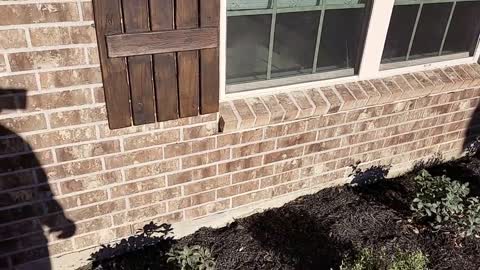 Through wall brick flashing