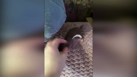 Funny kid