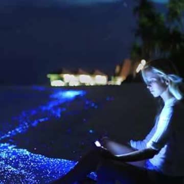 The Unusual Places in the World