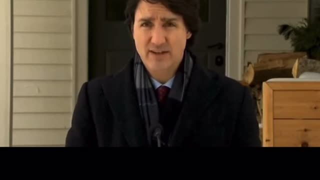 Canadian Tyrant
