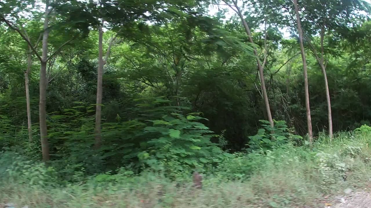 The Great Escape