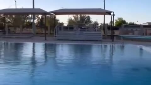 Funny video 2k23😂😂