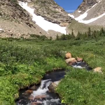Relaxation at its finest..🐕🐾🏞️😍