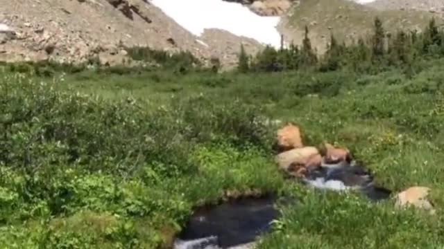 Relaxation at its finest..🐕🐾🏞️😍