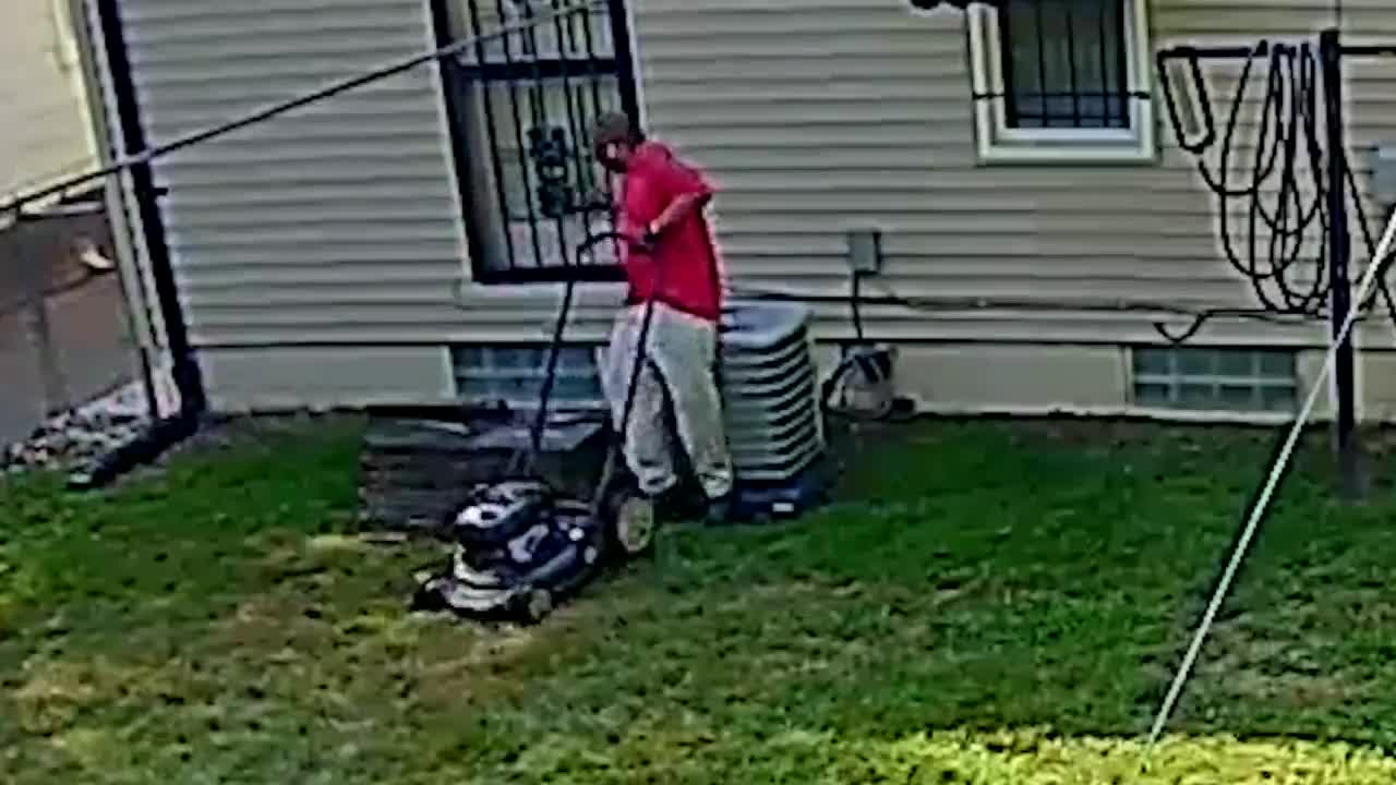 Watch and Laugh till the end