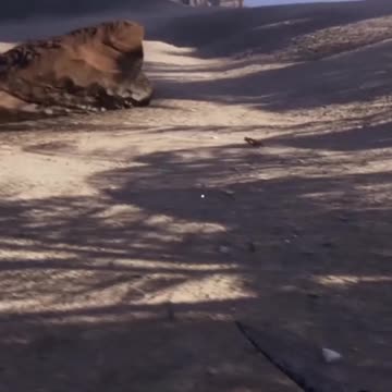 Don't get any ideas... Project Castaway